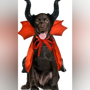 CooShou Dog Vampire Cape In Black And Red Size M